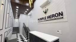 Cosmetic Surgeon in Jaipur