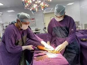 Hand Surgeon in India 