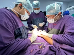 Hand Surgeon in India